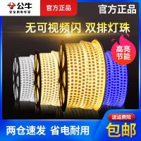 [COD] led with double row 2835 strip living room long 220v flexible