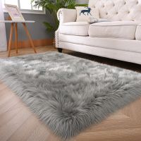 Modern Soft Fluffy Shaggy Rug Chair Rugs Feet Floor Mats,Non-Slip Plush Area Rugs Comfy Nursery Car for Bedroom Livingroom