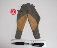 1/6 of the Action Figures model DID 3R bulk WWII German cavalry Signalman riding breeches