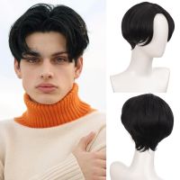 SHANGKE Synthetic Short Straight Middle Part Hair Wigs For Men Boy Cosplay Party Natural Black Heat Resistant Fake Hair Wig Wig  Hair Extensions Pads