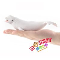 Monkey Toys - โมเดลสัตว์ Whale Beluga ปลาวาฬ บีลูก้า ขนาด 18.00 CM (จากหาดใหญ่)