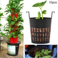 10 ชิ้นพลาสติกตาข่ายหม้อสุทธิตะกร้า Hydroponic Aeroponic ดอกไม้ภาชนะพืชเติบโตหม้อถ้วยปลูกกระเช้าสวนเครื่องมือ