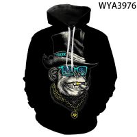 Spring And Fall Hoodies Casual Men Women Children Fashion Animal Solid Sweatshirts 3D Printed Streetwear Boy Girl Kids Cool Coat