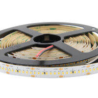 2216 LED Strip Light 280LED Flexible Waterproof Light 24V Warm White Cold White for living room