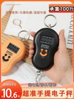 Portable Electronic Scale Mini Portable High Precision Household Spring Scale 10kg Grocery Shopping Commercial Accurate Small Hand Scale