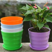 【Ready Stock】 ♦♚☾ D50 5PC Colourful Mini Plastic Flower Pot Succulent Plant Flowerpot Home Garden Balcony Or Terrace Decor