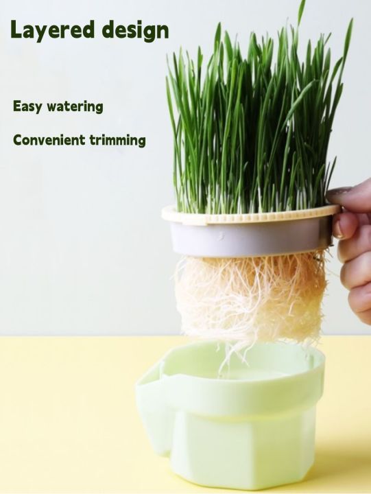 hierarchical-design-cat-grass-cultivation-cup-with-soilless-cultivation-reusable-catnip-growing-container-seed-germination-tray