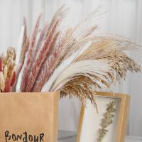 [AYIQ Flower Shop] 30Pcs ดอกไม้แห้ง Bouqet ธรรมชาติ Pampas Grass Fleur Sechee Naturelle Flores ดอกไม้ประดิษฐ์ Mariage ตกแต่งตกแต่งบ้าน