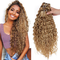 Real Beauty Ombre Peruvian Water Wave P27/613 Two Tone Remy Human Hair Extensions Weave Bundles ออเบิร์น 12－-26 -