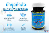 MEGA VITAPLEX 2007 รุ่นใหม่ มีทะเบียน เมก้า ไวตาเพล็กซ์ 2007 100 เม็ด 250 บาท ลำปำสำหรับเลี้ยงไก่ชนโดยเฉพาะสำหรับไก่ชนโดยเฉพาะ #ไก่ชน #ชนไก่ #ไก่เก่ง