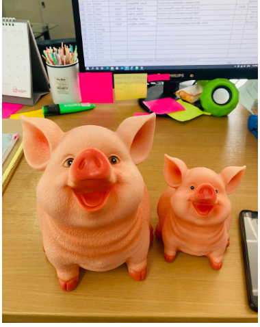 กระปุกหมูออมสินเด็กpiggy-bankของใช้ในครัวเรือนของเล่นเด็กกล่องเงินการ์ตูนรูปหมูวันเกิดของขวัญเหรียญกล่องเก็บของ