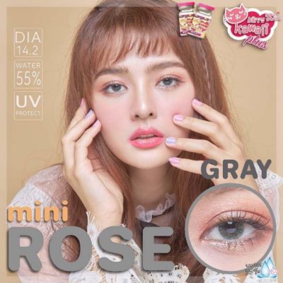 คิตตี้ คาวาอิ Kitty Kawaii (Gray,Brown)  สีเทา,น้ำตาล แฟชั่น คอนแทคเลนส์ แบบรายเดือน (Contact lens)