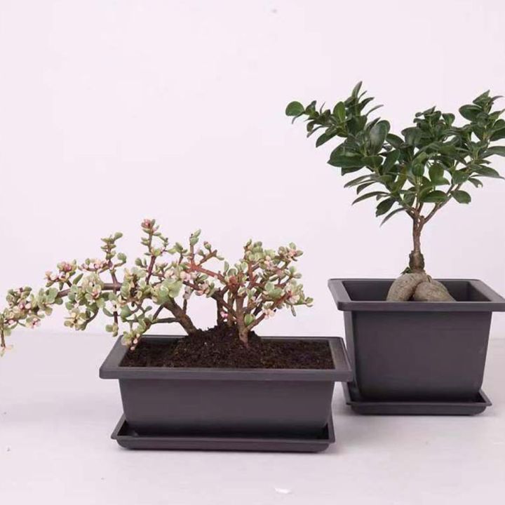 plant-pots-bonsai-succulent-nursery-basin-imitation-purple-sand-desktop-breathable-potted-for-balcony-planting-pot