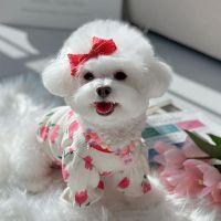 Spring Summer Flower Skirt Pet Dog Clothes Dress for Dogs Clothing Tulip T-shirt Teddy Bomei bichon For Puppy Dog Cat Clothes Clothing Shoes Accessori