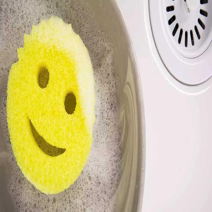 Scrub Daddy Dish Sponge Lazada PH