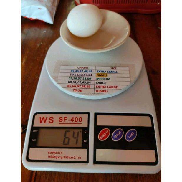 Egg scale egg weighing scale digital standard chart sizing | Lazada PH