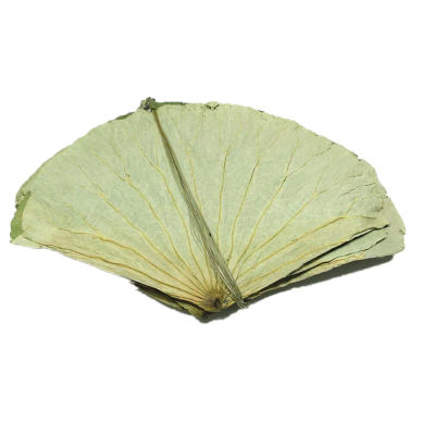 【XBYDZSW】 Zongzi Lotus leaf whole lotus leaf
