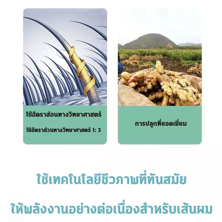 ของแท้-100-zenshow-แชมพูเร่งผมยาว-แชมพูแก้ผมร่วง-แชมพูขิงเพียว-แชมพูลดผมร่วง-ยาสระผมแก้ร่วง-แชมพูขิงของแท้-hair-loss-shampoo-ยาสระผมเร่งยาว-สูตรน้ำขิง-ปลูกผมอย่างอ่อนโยน-บำรุงรากผม-ปลูกผม-เร่งผมเกิดให