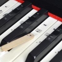 546188 Key Piano Stickers PVC Transparent Piano Keyboard Piano Stave Electronic Keyboard Name Note Sticker Accessories