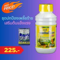 Combo set ปราบเพลี้ยร้าย ฟื้นฟูต้น โปรวาโดขนาด 2 กรัม + โฟแมกซ์ แคลเซียมโบรอน ขนาด 500 มิลลิลิตร