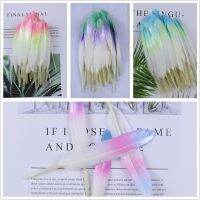 20pcs Feathers for Crafts rainbow Gradient Plumes Jewelry Accessories Feather 10-15cm