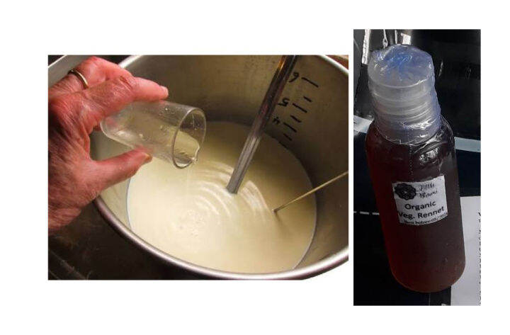 animal rennet liquid 30ml 50ml 100ml 250ml 500ml cheese making cheese ...