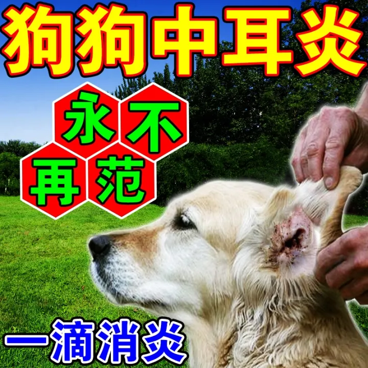 Dog otitis media ear drops to treat pet ear mites ear wax ear itching cleaning antiitching anti