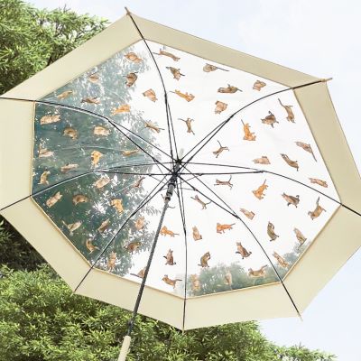 Transparent Umbrella for Women Cute Long Handle Rain Umbrella for Girls Lightweight Big Size Japanese Umbrella Windproof Strong