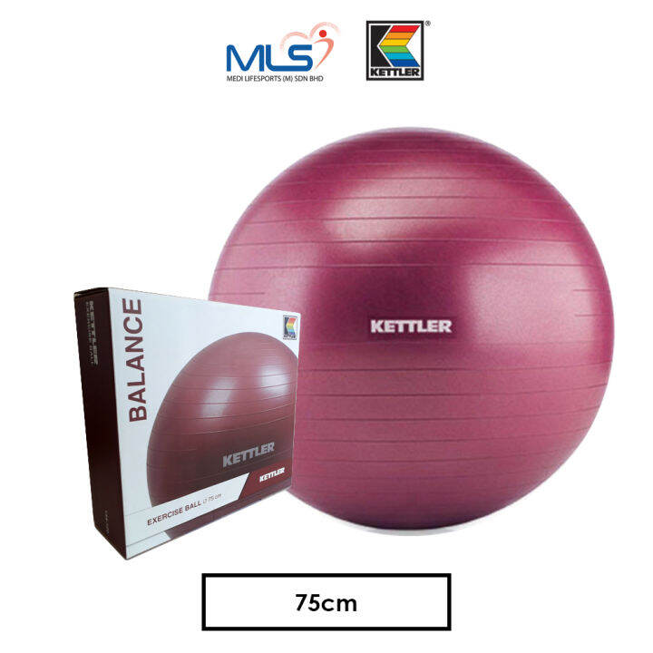 Harga gym 2025 ball kettler