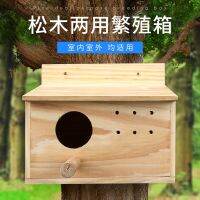 [COD] Birds Small Xuanfeng Breeding Outdoor Warm Decoration Hanging