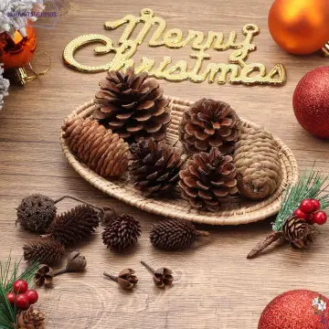 10Pcs PineCones Natural Pine Cones for Wedding Christmas Tree