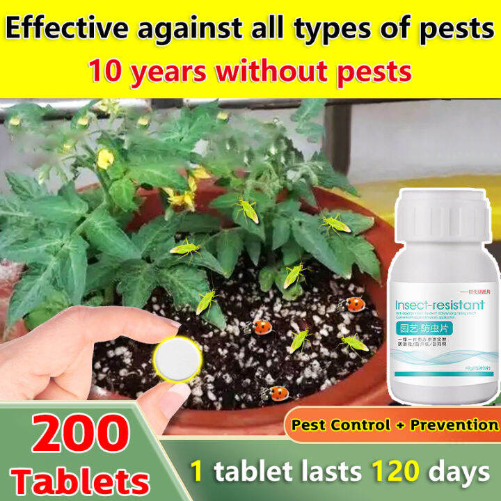 🐛 1 tablet can be used for 120 days 🐛Hydra, a plant fungicide. aphid