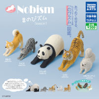 [สินค้าพร้อมส่ง] Gashapon Nobism Stretching Animal v.1 Collection (กาชาปองสัตว์ขี้เกียจแพนด้า,แมว)