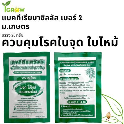 แบคทีเรียบาซิลลัส ม. เกษตรกำแพงแสน  เบอร์​2​ ควบคุมโรคโรคใบจุด​ ใบไหม้​ แอนแทรคโนส