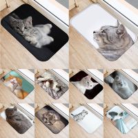 1pcs 40x60cm Cute Cat Pattern Floor Mat Anti-Slip Suede Carpet Doormat indoor Kitchen Bathroom Living Room Door Mat Rug 48237