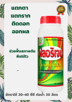 ฟลอริเจน 1 ลิตร สาหร่าย+อะมิโน สาหร่ายทะเลสกัดเข้มข้น ส่งเสริมการเจริญเติบโตทั้งทางใบและราก ช่วยฟื้นสภาพต้นพืชได้ไว