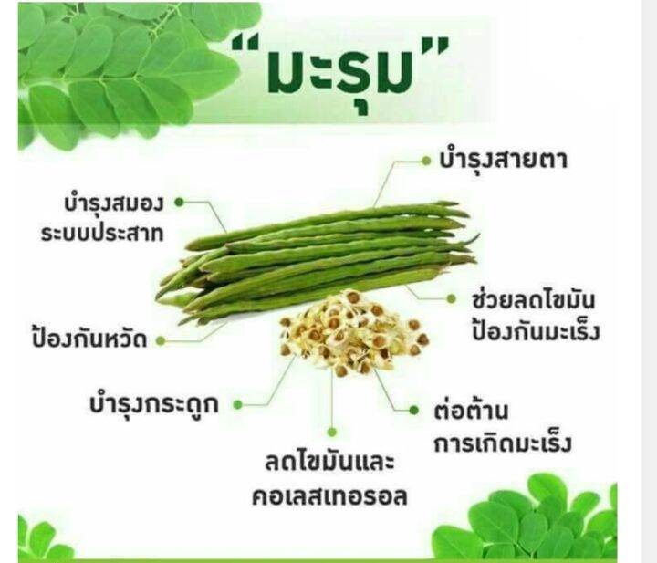 ส่งฟรี-กิฟฟารีนของแท้-มะรุมแคปซุล-มะรุมผสมวิตามินซี-ส่งใว-marum-c-giffarine-1-กล่อง-บรรจุ-60-แคปซุล-ทักแชทมีโปรฯพิเศษ