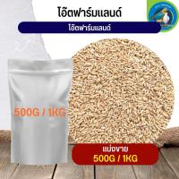 สุดยอด ข้าวโอ๊ต ออสเตรีย Oat Rice อาหารนก กระต่าย หนู กระต่าย กระรอก ชูก้า และสัตว์ฟันแทะ (แบ่งขาย 500G / 1KG)