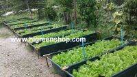 ถุงปลูกกะบะแสนดี ขนาด 60x200x30 ซ.ม. จำนวน 1ใบ (ไม่รวมขาท่อPVC)