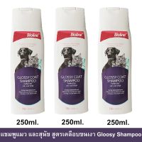 แชมพูสุนัข แชมพูแมว Bioline สูตรเคลือบขนเงา 250มล. (3ขวด) Bioline Glossy Coat Shampoo for Cat and Dog Shampoo 250ml.3pc