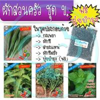 เมล็ดพันธุ์ผักสวนครัว ชุด ข.