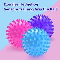 Full Body Spiky Massage Ball Hard Stress Ball 9cm for Fitness Sport Exercise Hedgehog Sensory Training Grip The Ball Protective Gear