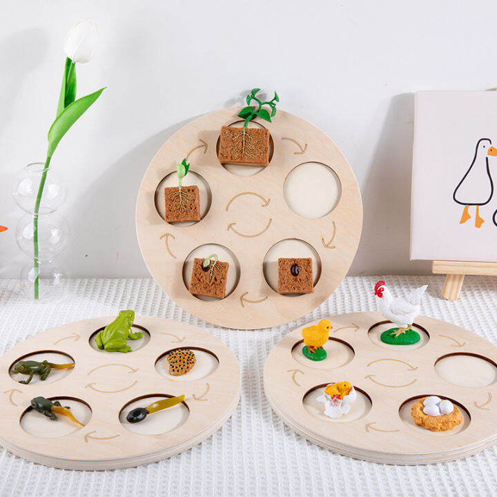 new-montessori-animals-life-cycle-board-set-lifestyle-stages-kids-teaching-tools-animal-growth-cycle-educational-open-ended-toys