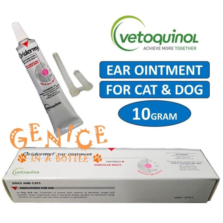 Promo Oridermyl Ear Ointment 10g Cat Dog Ear Drop For Ear Infection