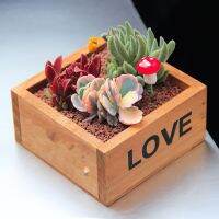 Caoshs▨ ¤ Vintage ไม้ Plant Pots ดอกไม้ Succulent พืชกล่องดอกไม้กระถางปลูกสวนอุปกรณ์บ้านสวนอุปกรณ์ตกแต่ง