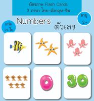 บัตรภาพ Flash Cards ตัวเลข