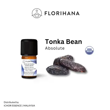 Tonka Bean Absolute Oil
