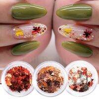 [COD] 2022 cross-border hot nail art accessories 6 bottles of maple leaf autumn mixed sequin wholesale