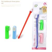 【CC】 Toothbrush Three -piece -headed Dog PETS Mascotas Products