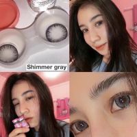 Shimmer gray (Wink lens) ขนาดBig (บิ๊กอาย คอนแทคเลนส์ ) (bigeyes)